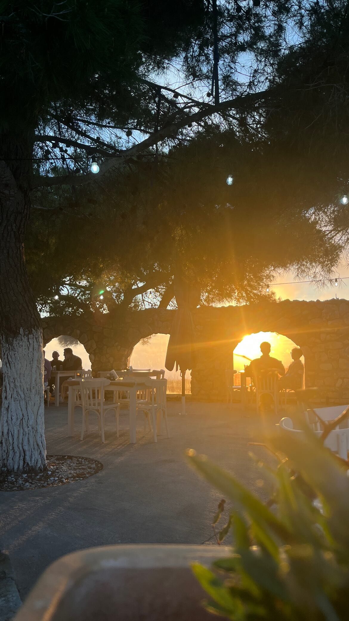 The taverna at evening